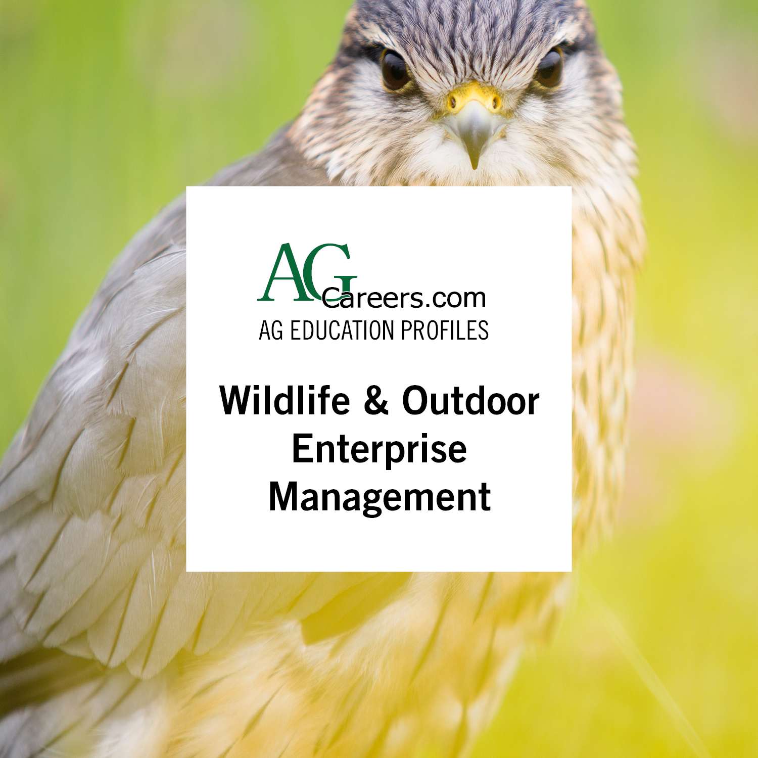 Wildlife & Outdoor Enterprise Management Education Profile